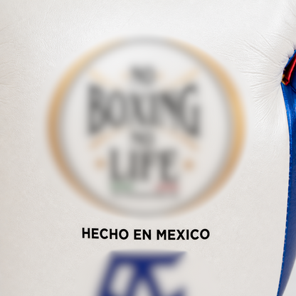Boxing Gloves NO