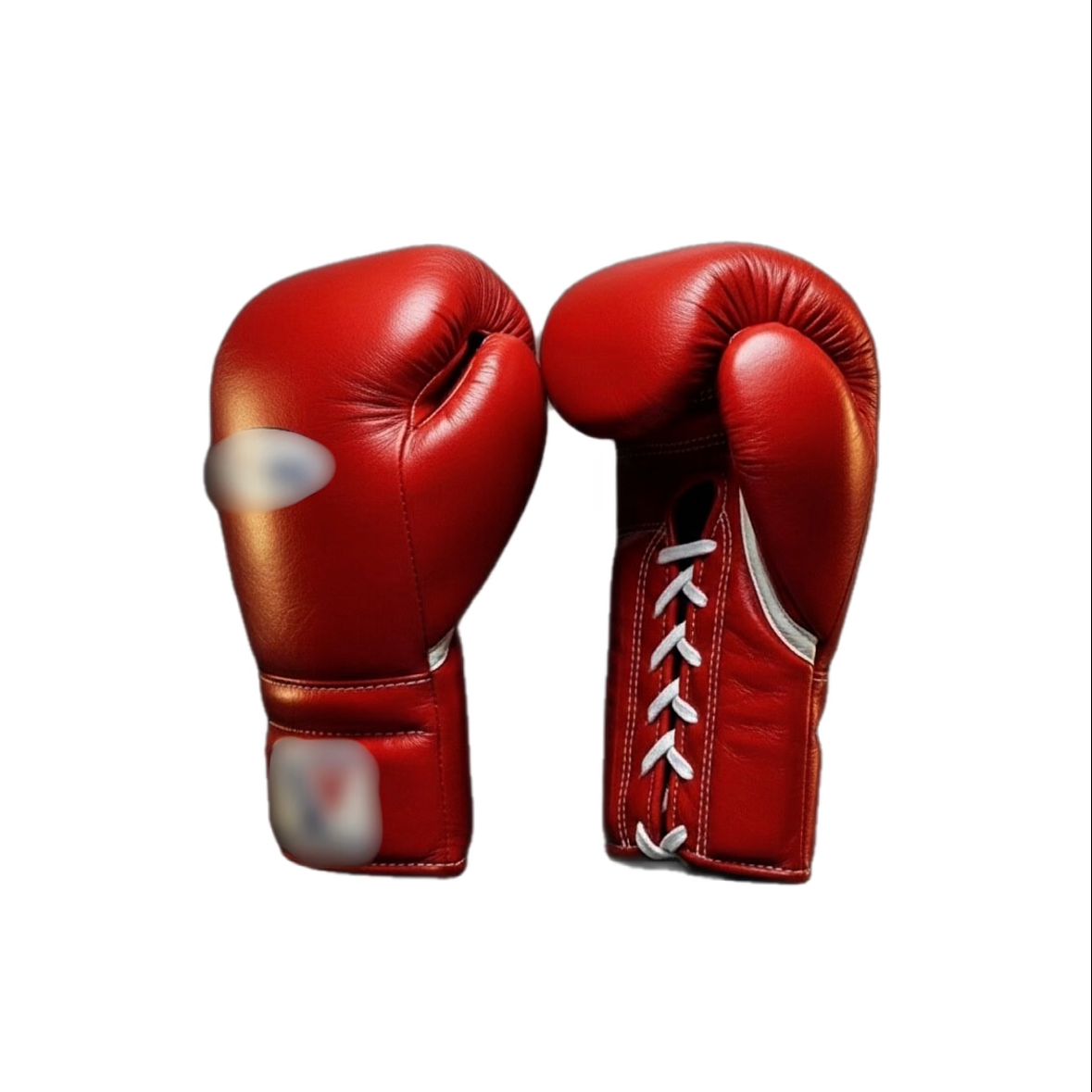 Boxing Gloves WI