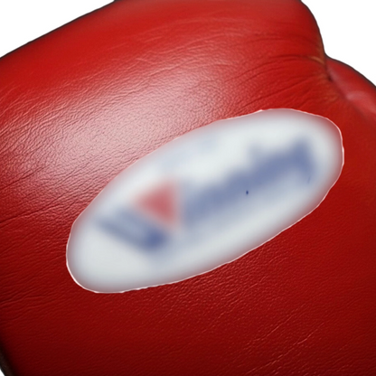Boxing Gloves WI