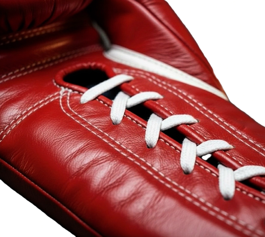 Boxing Gloves WI