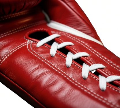 Boxing Gloves WI