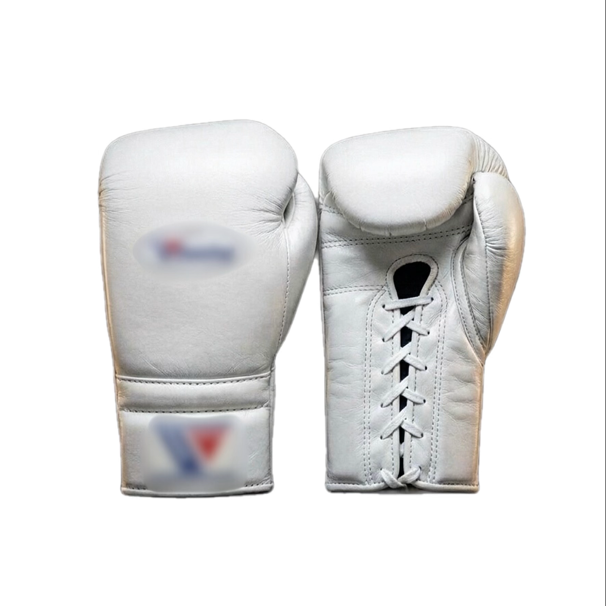 Boxing Gloves WI