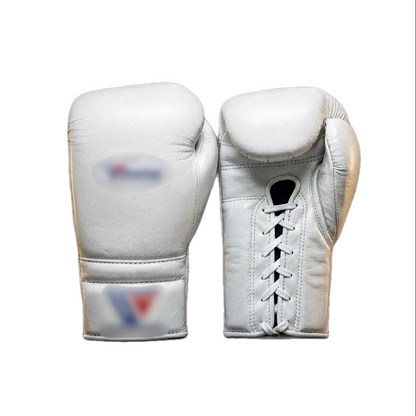 Boxing Gloves WI