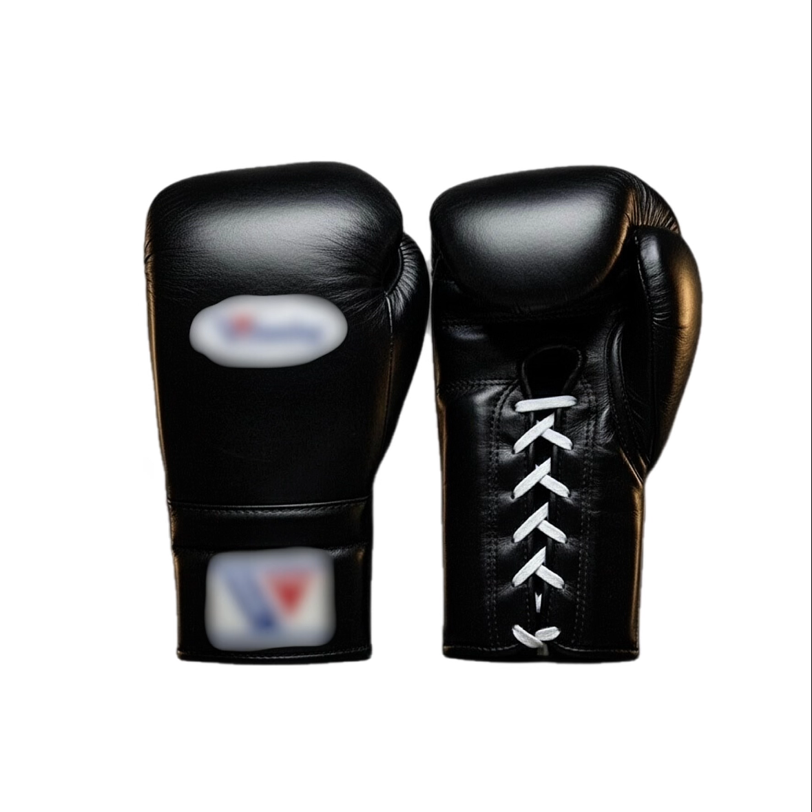 Boxing Gloves WI