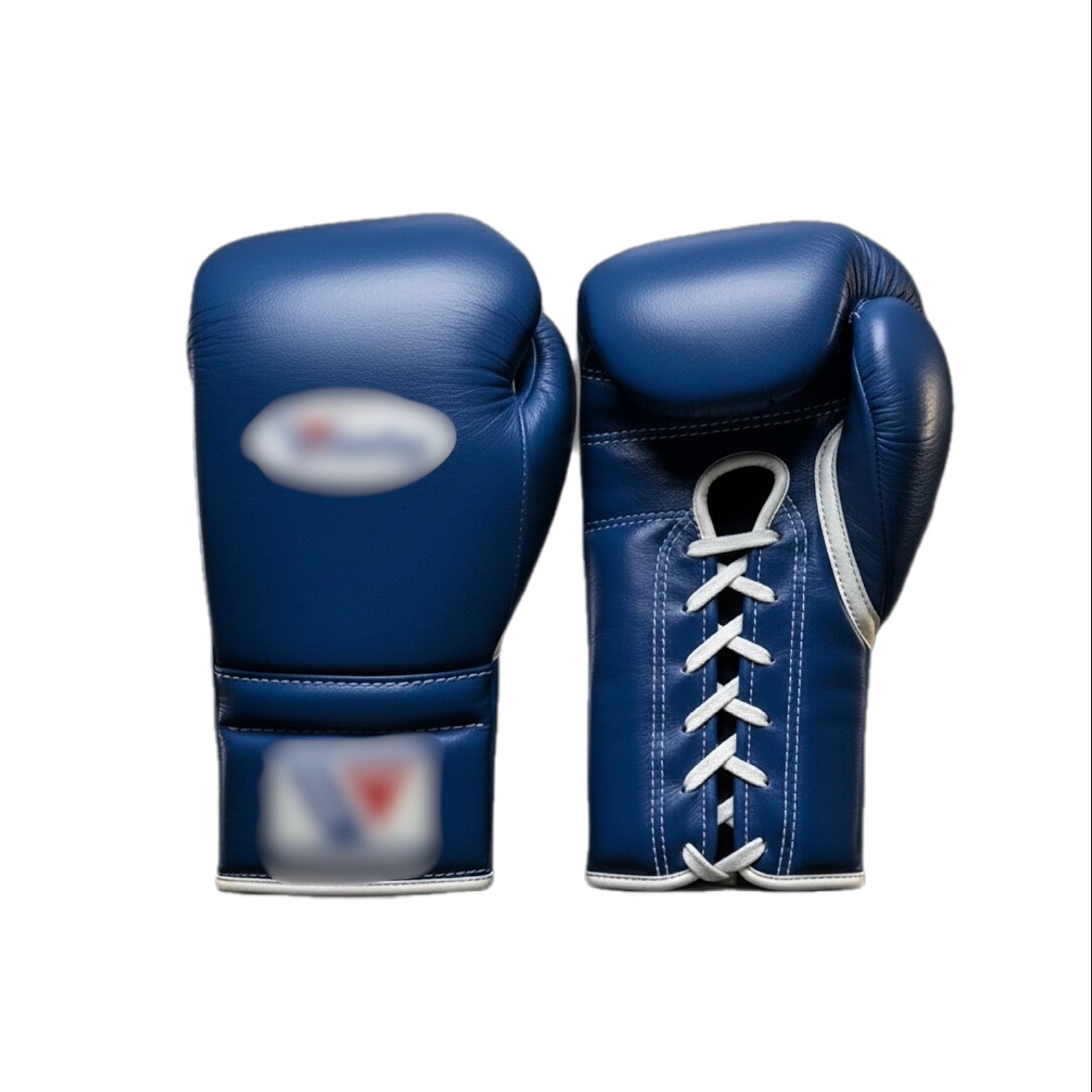 Boxing Gloves WI
