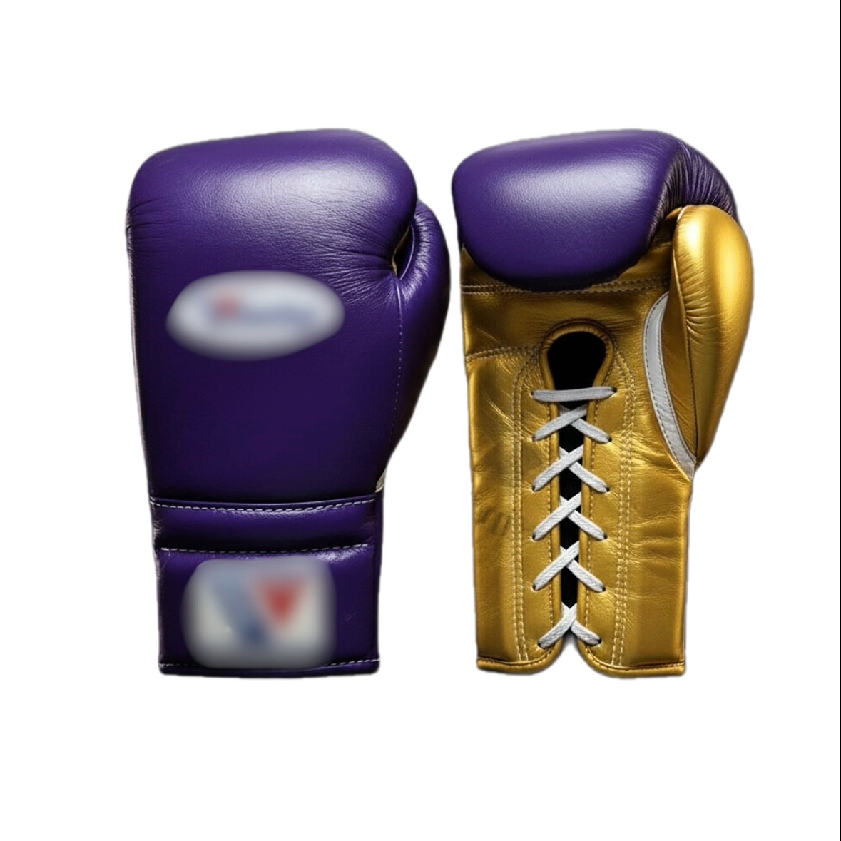 Boxing Gloves WI
