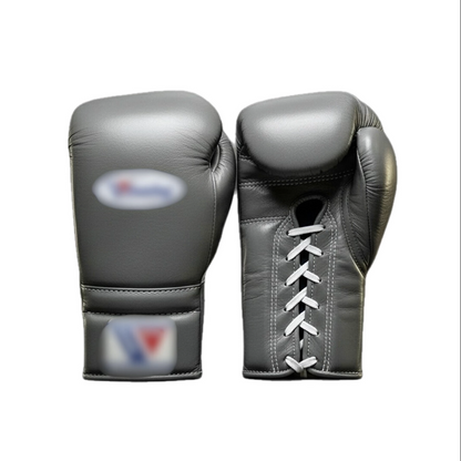 Boxing Gloves WI
