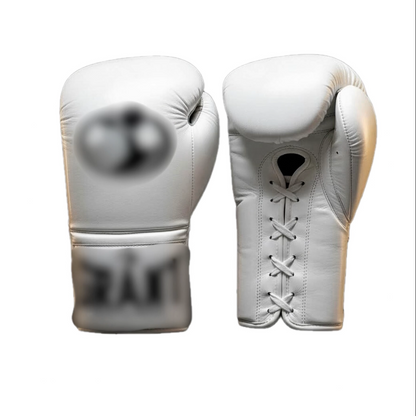 Boxing Gloves GR