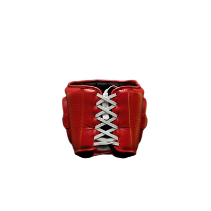 Boxing Headgear WI