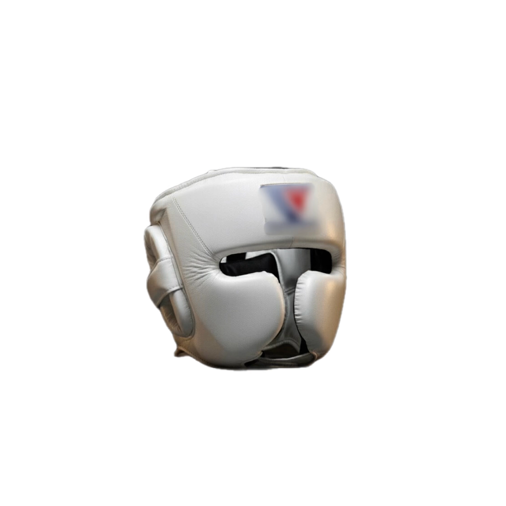 Boxing Headgear WI