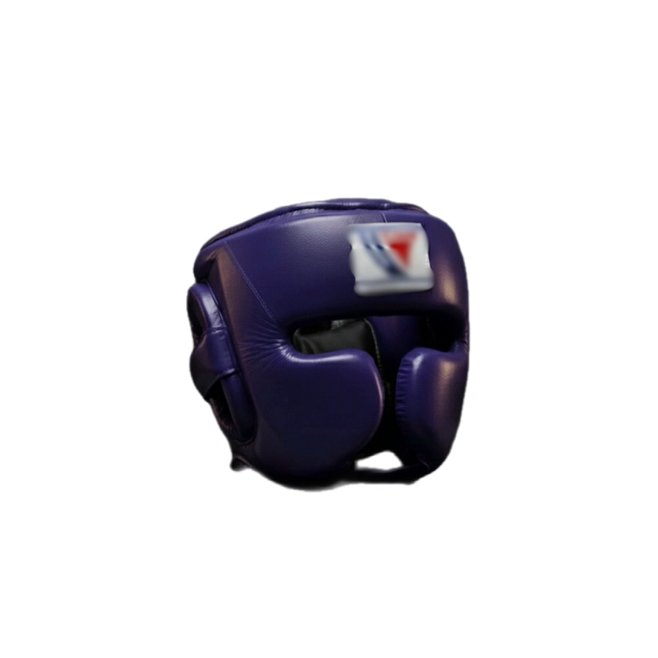 Boxing Headgear WI