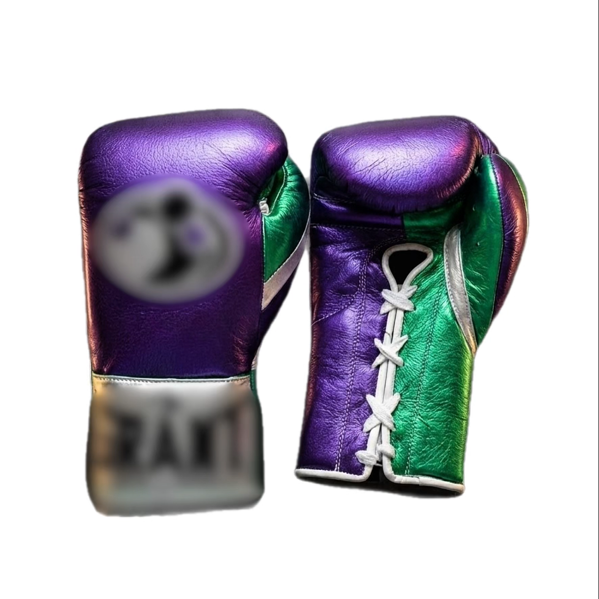 Boxing Gloves GR
