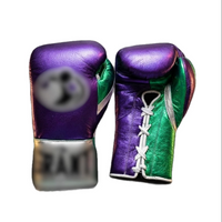 Boxing Gloves GR