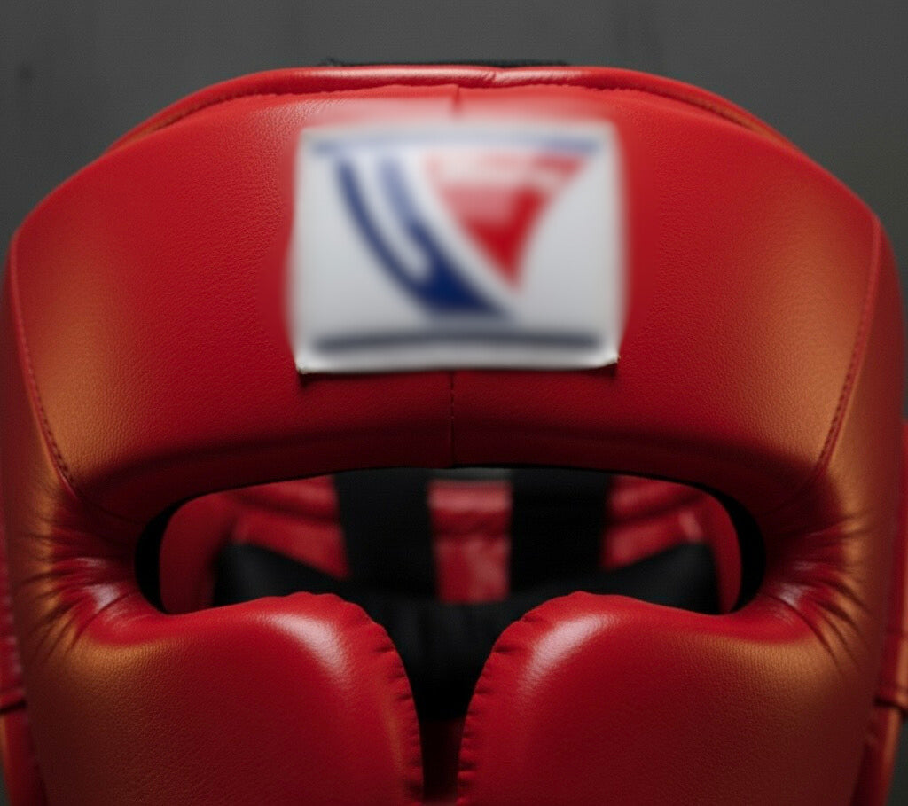 Boxing Headgear WI